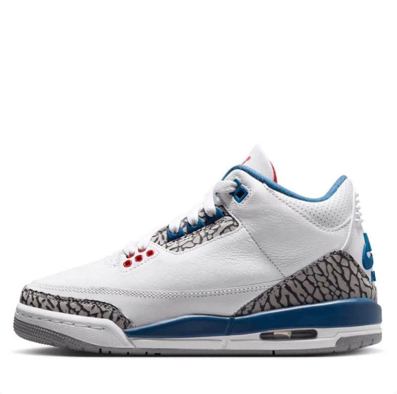 Air Jordan 3 White & Blue Sneakers with Elephant Print & Red Accents